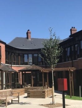 Cullingtree-Meadows-Belfast